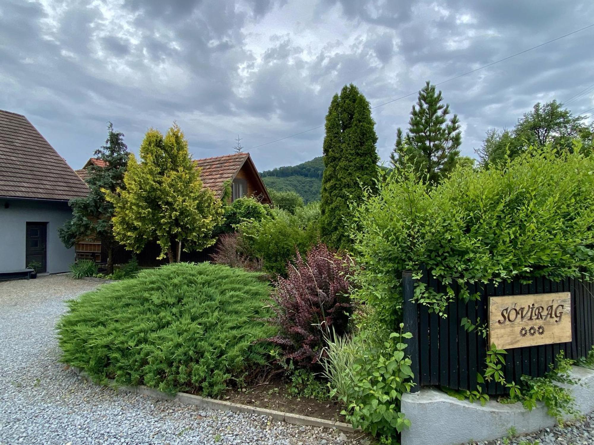 Pensiunea Sovirag Praid Exteriér fotografie