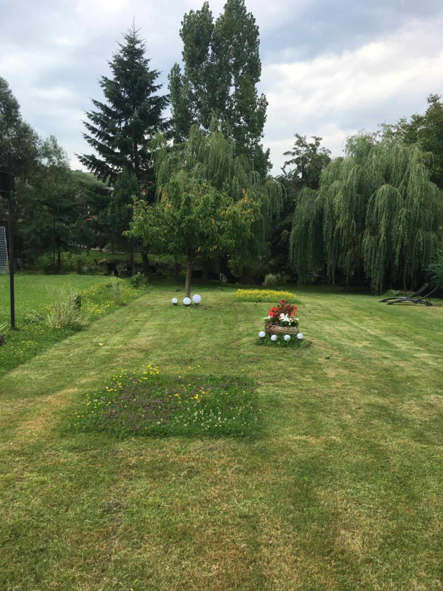 Pensiunea Sovirag Praid Exteriér fotografie