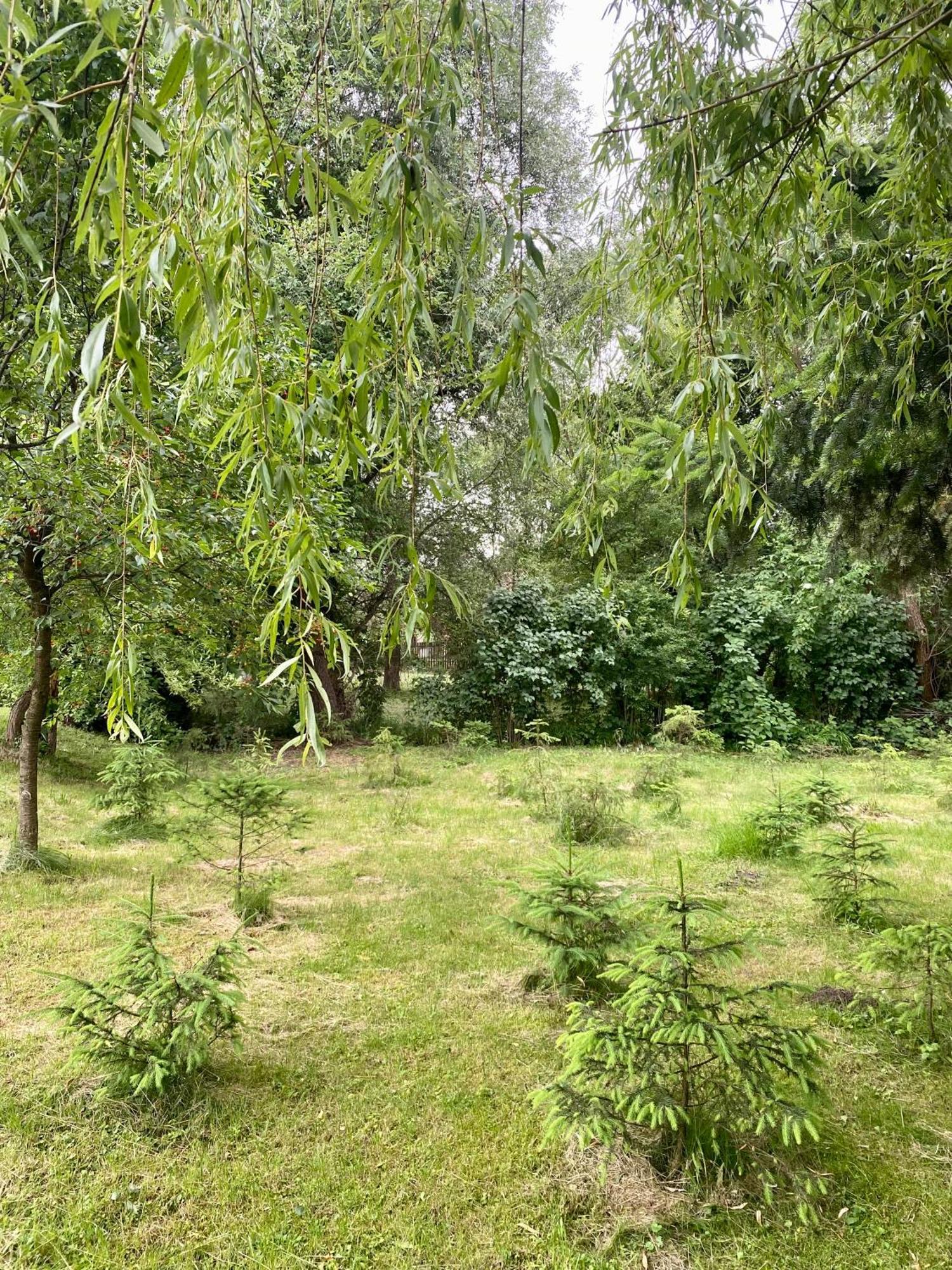Pensiunea Sovirag Praid Exteriér fotografie